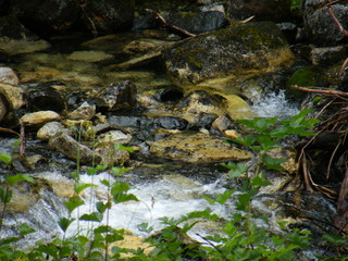 Filename=DSCF7821.JPG
Filesize=3078KiB
Dimensions=3264x2448
Date added=Sep 15, 2019 DSCF7821.JPG