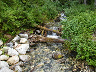 Filename=DSCF7828.JPG
Filesize=3232KiB
Dimensions=3264x2448
Date added=Sep 15, 2019 DSCF7828.JPG