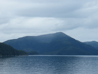 Filename=DSCF8329.JPG
Filesize=3491KiB
Dimensions=3264x2448
Date added=Sep 15, 2019 DSCF8329.JPG