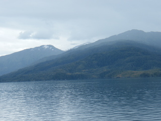 Filename=DSCF8330.JPG
Filesize=2867KiB
Dimensions=3264x2448
Date added=Sep 15, 2019 DSCF8330.JPG