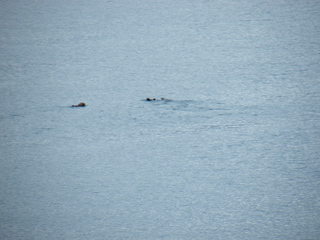 Filename=DSCF8358.JPG
Filesize=3300KiB
Dimensions=3264x2448
Date added=Sep 15, 2019 DSCF8358.JPG