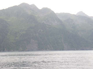 Filename=DSCF8383.JPG
Filesize=3005KiB
Dimensions=3264x2448
Date added=Sep 15, 2019 DSCF8383.JPG