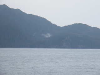 Filename=DSCF8384.JPG
Filesize=645KiB
Dimensions=3264x2448
Date added=Sep 15, 2019 DSCF8384.JPG