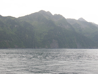 Filename=DSCF8388.JPG
Filesize=2735KiB
Dimensions=3264x2448
Date added=Sep 15, 2019 DSCF8388.JPG