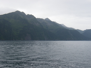 Filename=DSCF8389.JPG
Filesize=3043KiB
Dimensions=3264x2448
Date added=Sep 15, 2019 DSCF8389.JPG