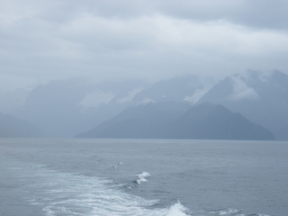 Filename=DSCF8390.JPG
Filesize=3013KiB
Dimensions=3264x2448
Date added=Sep 15, 2019 DSCF8390.JPG