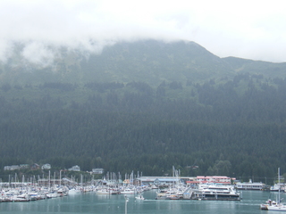 Filename=DSCF8391.JPG
Filesize=3327KiB
Dimensions=3264x2448
Date added=Sep 15, 2019 DSCF8391.JPG