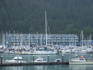 Filename=DSCF8403.JPG
Filesize=3497KiB
Dimensions=3264x2448
Date added=Sep 15, 2019 DSCF8403.JPG