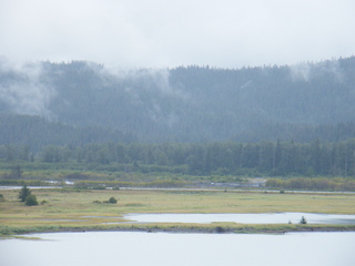 Filename=DSCF8407.JPG
Filesize=3166KiB
Dimensions=3264x2448
Date added=Sep 15, 2019 DSCF8407.JPG