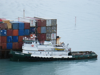 Filename=DSCF8409.JPG
Filesize=3083KiB
Dimensions=3264x2448
Date added=Sep 15, 2019 DSCF8409.JPG