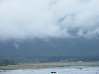 Filename=DSCF8411.JPG
Filesize=2856KiB
Dimensions=3264x2448
Date added=Sep 15, 2019 DSCF8411.JPG