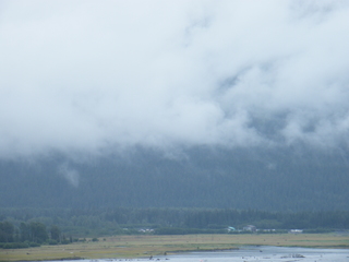 Filename=DSCF8412.JPG
Filesize=2748KiB
Dimensions=3264x2448
Date added=Sep 15, 2019 DSCF8412.JPG