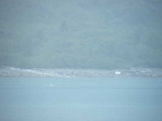 Filename=DSCF8453.JPG
Filesize=624KiB
Dimensions=3264x2448
Date added=Sep 15, 2019 DSCF8453.JPG