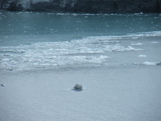 Filename=DSCF8474.JPG
Filesize=3210KiB
Dimensions=3264x2448
Date added=Sep 15, 2019 DSCF8474.JPG