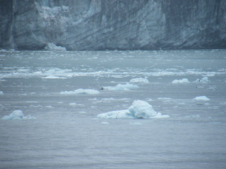 Filename=DSCF8499.JPG
Filesize=3234KiB
Dimensions=3264x2448
Date added=Sep 15, 2019 DSCF8499.JPG