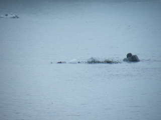 Filename=DSCF8558.JPG
Filesize=659KiB
Dimensions=3264x2448
Date added=Sep 15, 2019 DSCF8558.JPG