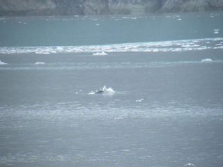 Filename=DSCF8559.JPG
Filesize=3857KiB
Dimensions=3264x2448
Date added=Sep 15, 2019 DSCF8559.JPG