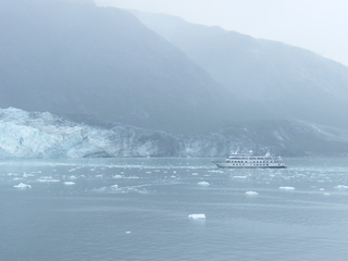 Filename=DSCF8567.JPG
Filesize=3153KiB
Dimensions=3264x2448
Date added=Sep 15, 2019 DSCF8567.JPG