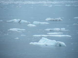 Filename=DSCF8592.JPG
Filesize=647KiB
Dimensions=3264x2448
Date added=Sep 15, 2019 DSCF8592.JPG