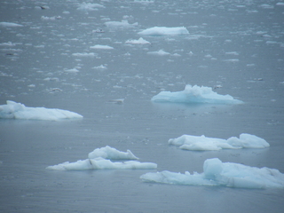 Filename=DSCF8593.JPG
Filesize=3782KiB
Dimensions=3264x2448
Date added=Sep 15, 2019 DSCF8593.JPG