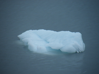 Filename=DSCF8611.JPG
Filesize=3692KiB
Dimensions=3264x2448
Date added=Sep 15, 2019 DSCF8611.JPG