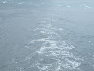 Filename=DSCF8653.JPG
Filesize=3300KiB
Dimensions=3264x2448
Date added=Sep 15, 2019 DSCF8653.JPG