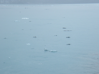 Filename=DSCF8661.JPG
Filesize=2987KiB
Dimensions=3264x2448
Date added=Sep 15, 2019 DSCF8661.JPG