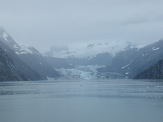 Filename=DSCF8779.JPG
Filesize=3159KiB
Dimensions=3264x2448
Date added=Sep 15, 2019 DSCF8779.JPG