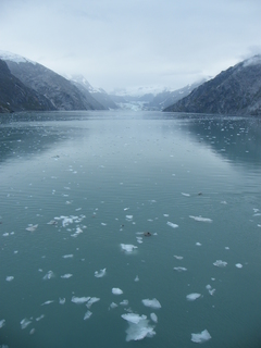 Filename=DSCF8795.JPG
Filesize=3326KiB
Dimensions=2448x3264
Date added=Sep 15, 2019 DSCF8795.JPG