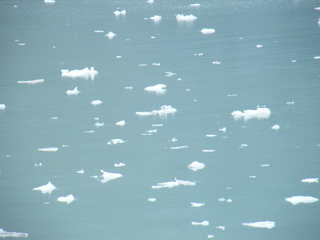 Filename=DSCF8801.JPG
Filesize=628KiB
Dimensions=3264x2448
Date added=Sep 15, 2019 DSCF8801.JPG