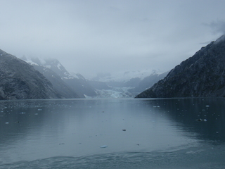 Filename=DSCF8808.JPG
Filesize=3332KiB
Dimensions=3264x2448
Date added=Sep 15, 2019 DSCF8808.JPG