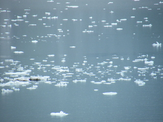 Filename=DSCF8823.JPG
Filesize=3746KiB
Dimensions=3264x2448
Date added=Sep 15, 2019 DSCF8823.JPG