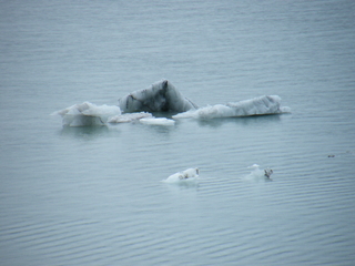 Filename=DSCF8841.JPG
Filesize=3896KiB
Dimensions=3264x2448
Date added=Sep 15, 2019 DSCF8841.JPG