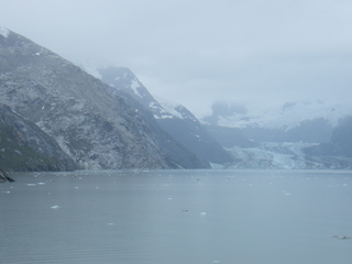 Filename=DSCF8853.JPG
Filesize=3130KiB
Dimensions=3264x2448
Date added=Sep 15, 2019 DSCF8853.JPG