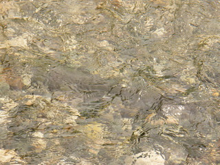 Filename=DSCF8998.JPG
Filesize=3141KiB
Dimensions=3264x2448
Date added=Sep 15, 2019 DSCF8998.JPG