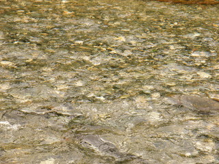 Filename=DSCF8999.JPG
Filesize=3068KiB
Dimensions=3264x2448
Date added=Sep 15, 2019 DSCF8999.JPG