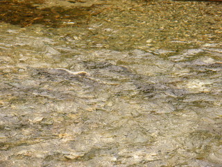 Filename=DSCF9002.JPG
Filesize=3060KiB
Dimensions=3264x2448
Date added=Sep 15, 2019 DSCF9002.JPG