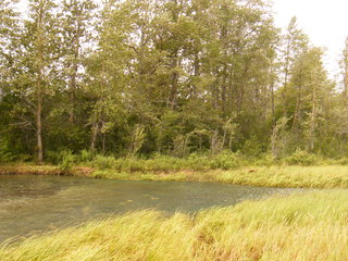 Filename=DSCF9015.JPG
Filesize=3298KiB
Dimensions=3264x2448
Date added=Sep 15, 2019 DSCF9015.JPG