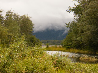 Filename=DSCF9017.JPG
Filesize=3115KiB
Dimensions=3264x2448
Date added=Sep 15, 2019 DSCF9017.JPG