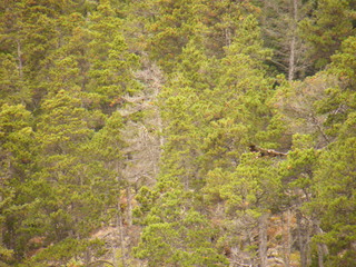 Filename=DSCF9019.JPG
Filesize=3149KiB
Dimensions=3264x2448
Date added=Sep 15, 2019 DSCF9019.JPG