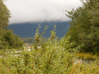 Filename=DSCF9021.JPG
Filesize=3211KiB
Dimensions=3264x2448
Date added=Sep 15, 2019 DSCF9021.JPG