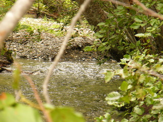 Filename=DSCF9030.JPG
Filesize=3191KiB
Dimensions=3264x2448
Date added=Sep 15, 2019 DSCF9030.JPG