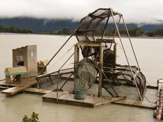 Filename=DSCF9034.JPG
Filesize=3403KiB
Dimensions=3264x2448
Date added=Sep 15, 2019 DSCF9034.JPG