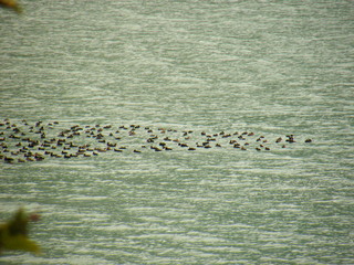 Filename=DSCF9041.JPG
Filesize=3195KiB
Dimensions=3264x2448
Date added=Sep 15, 2019 DSCF9041.JPG