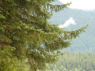 Filename=DSCF9056.JPG
Filesize=3480KiB
Dimensions=3264x2448
Date added=Sep 15, 2019 DSCF9056.JPG