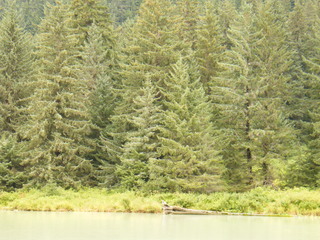 Filename=DSCF9058.JPG
Filesize=3268KiB
Dimensions=3264x2448
Date added=Sep 15, 2019 DSCF9058.JPG