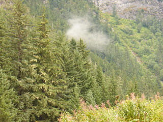 Filename=DSCF9062.JPG
Filesize=3127KiB
Dimensions=3264x2448
Date added=Sep 15, 2019 DSCF9062.JPG