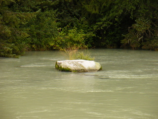 Filename=DSCF9068.JPG
Filesize=3572KiB
Dimensions=3264x2448
Date added=Sep 15, 2019 DSCF9068.JPG