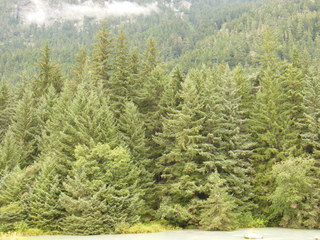 Filename=DSCF9070.JPG
Filesize=3074KiB
Dimensions=3264x2448
Date added=Sep 15, 2019 DSCF9070.JPG