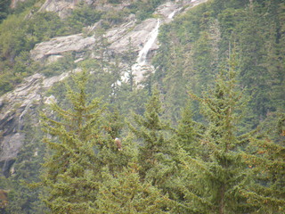 Filename=DSCF9073.JPG
Filesize=3199KiB
Dimensions=3264x2448
Date added=Sep 15, 2019 DSCF9073.JPG